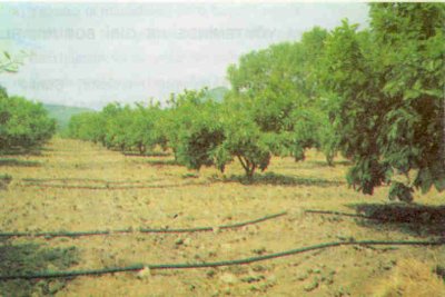 Damla sulamada su süzgeçlerden geçirilmeden kullanılmamalıdır